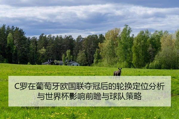 luo-zai-pu-tao-ya-ou-guo-lian-duo-guan-hou-de-lun-huan-ding-wei-fen-xi-yu-shi-jie-bei-ying-xiang-qian-zhan-yu-qiu-dui-1-217.jpg